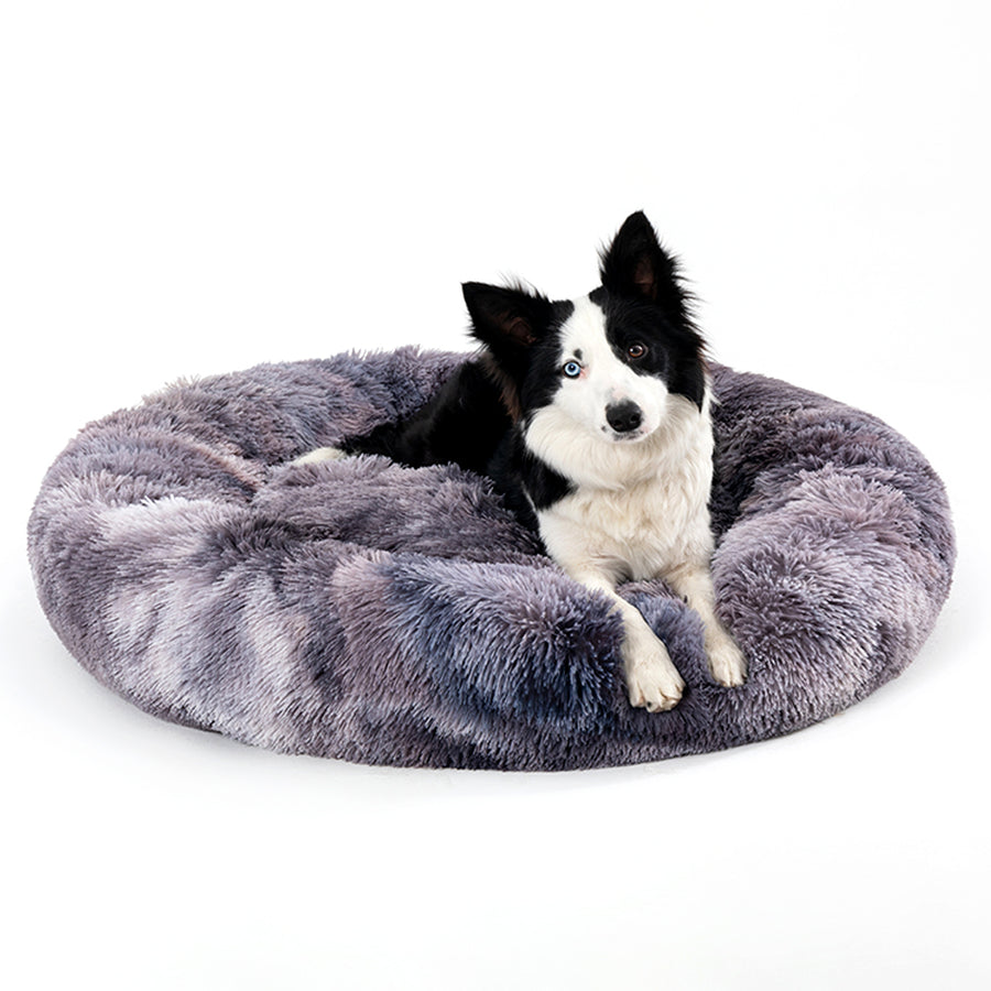 Dog resting in Belveda bed